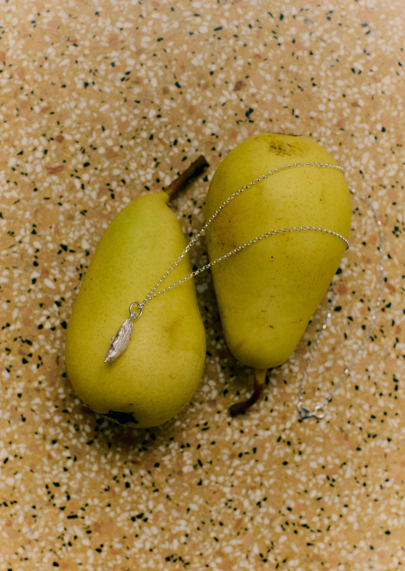 Alba Silver Cardamom Pod Necklace | Silver - Image 4