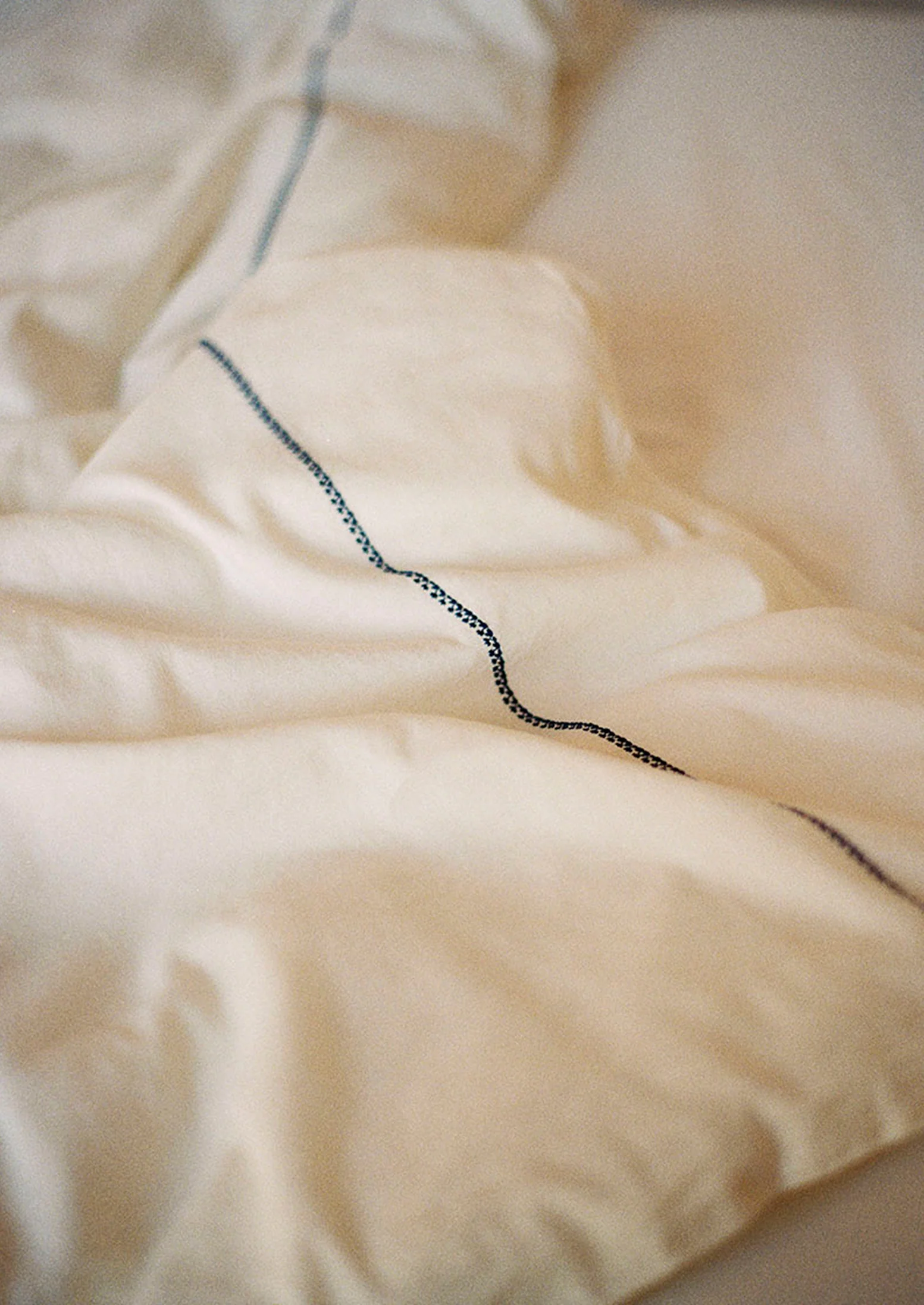 Bud Embroidered Duvet Cover | Ivory/Delft Blue - Image 2