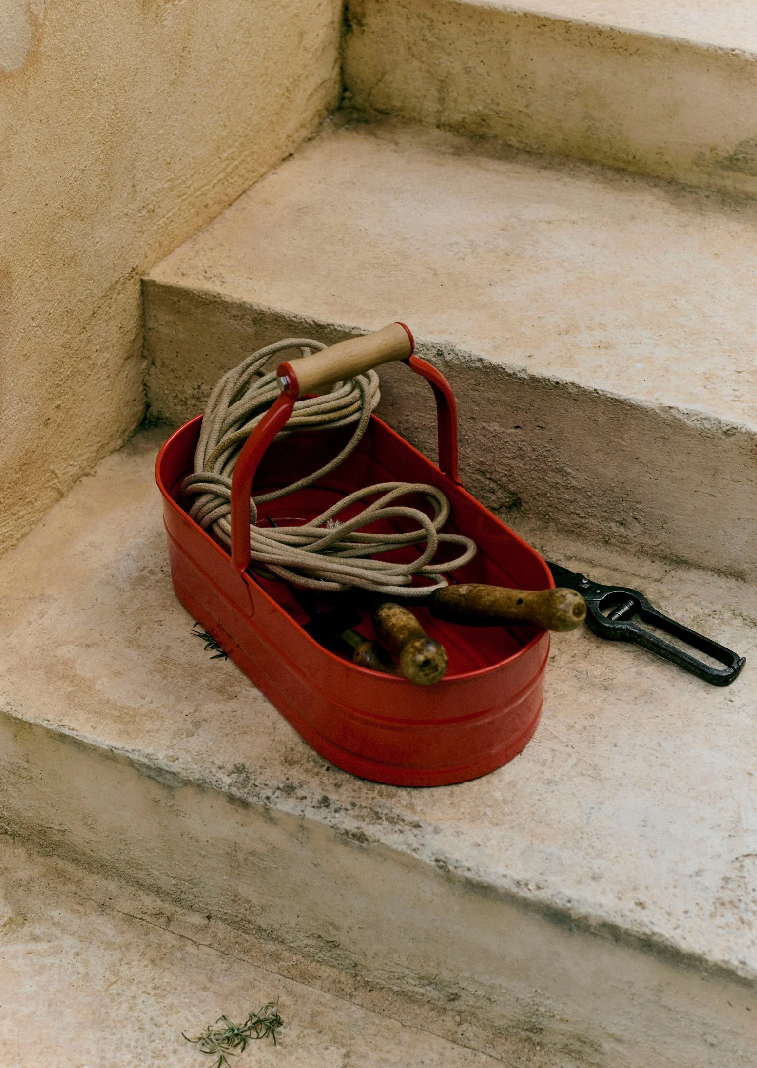 Garden Utility Bucket | Nasturtium - Image 3