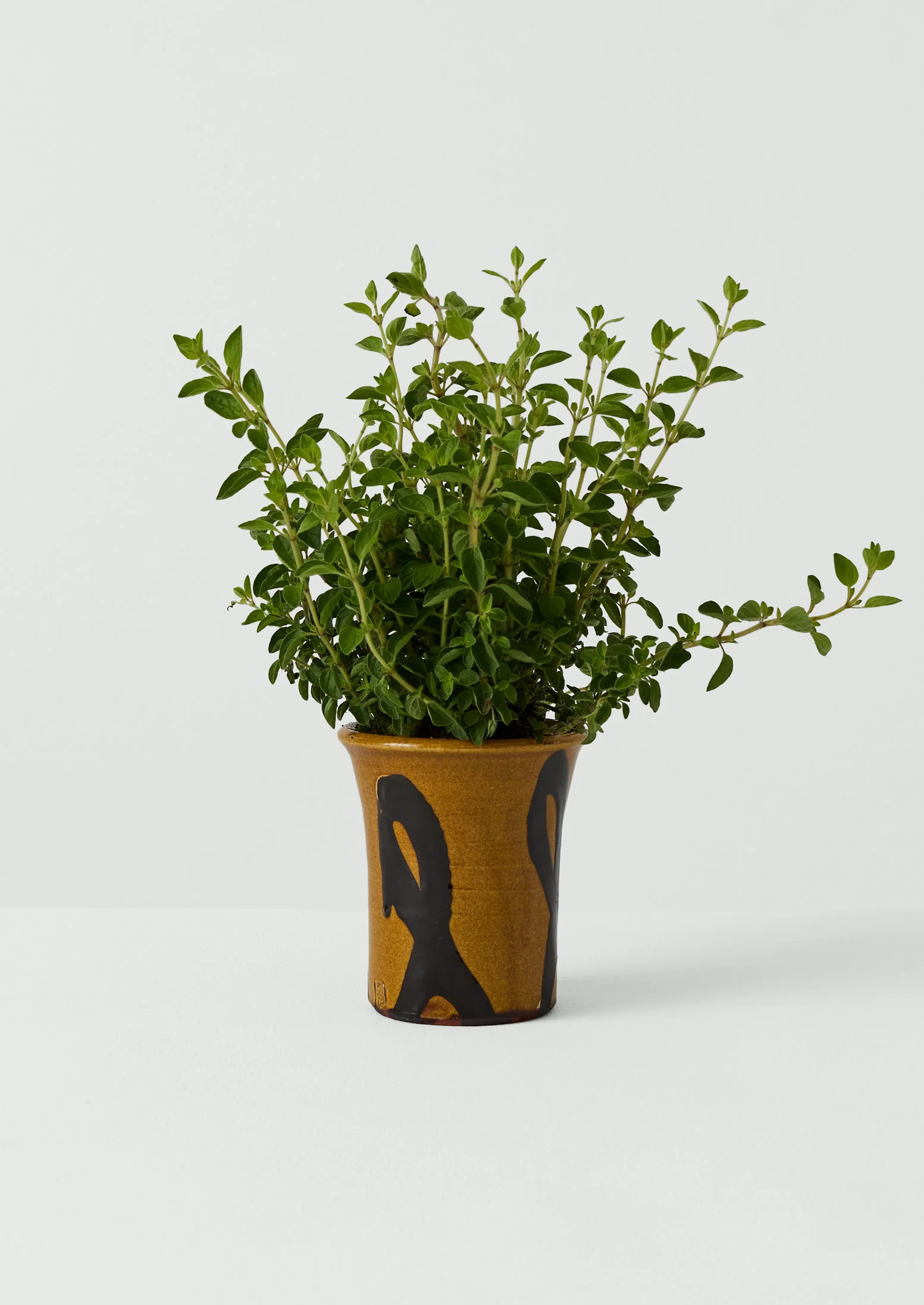 Hoxton Gardenware Small Slipware Planter | Honey - Image 3