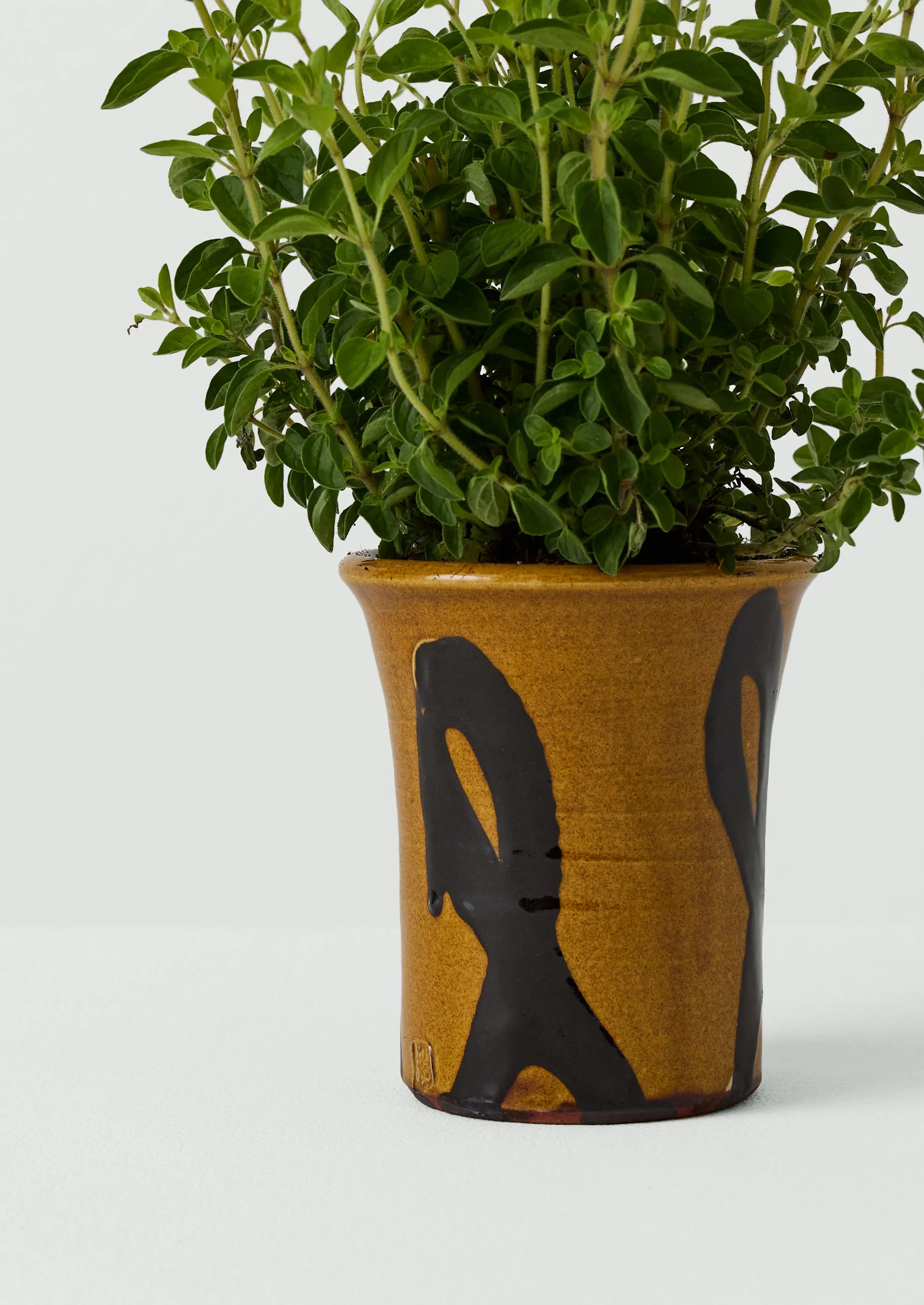 Hoxton Gardenware Small Slipware Planter | Honey - Image 5