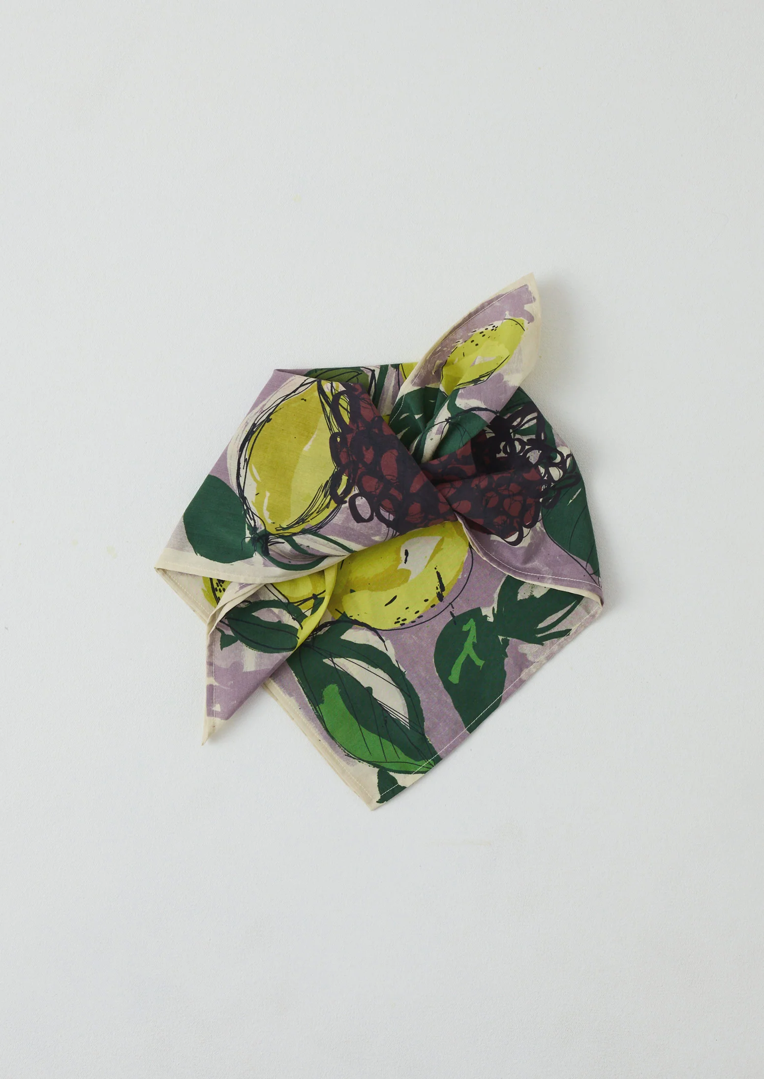 Sketched Fruit Cotton Silk Bandana | Thistle - Image 4